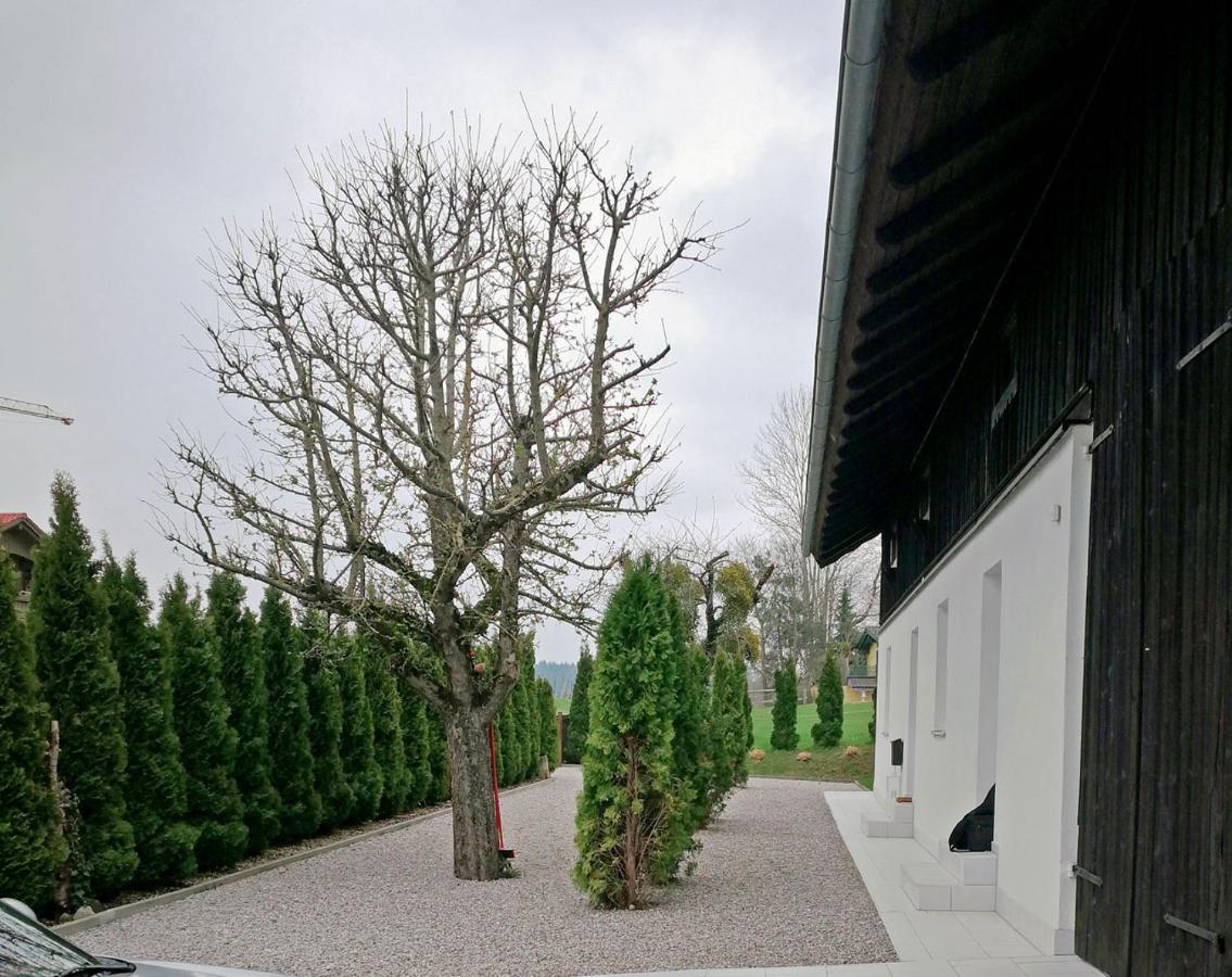 Muensing Naehe Starnberger See, Schoene Ferienwohnung, Gaestewohnung 125Qm Eg Und Og Kontaktfrei Exterior photo